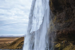 Islanda: Tour privato della costa meridionale e dell'escursione ai ghiacciai