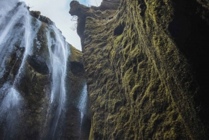 Iceland: South Coast and Glacier Hike Private Tour
