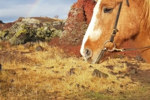 Iceland: Volcanic Landscape Horse Riding Tour