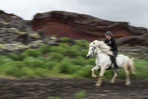 Iceland: Volcanic Landscape Horse Riding Tour
