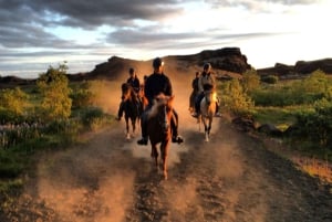 Iceland: Volcanic Landscape Horse Riding Tour