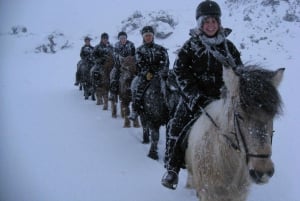 Iceland: Volcanic Landscape Horse Riding Tour