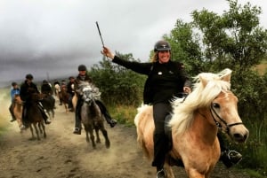 Iceland: Volcanic Landscape Horse Riding Tour