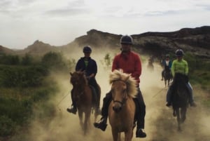 Iceland: Volcanic Landscape Horse Riding Tour