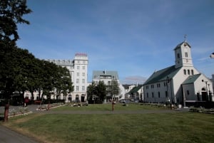 Reykjavik: Guided City Walking Tour