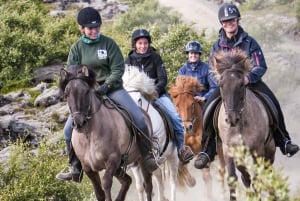 Icelandic Horse Riding Tour in Lava Fields
