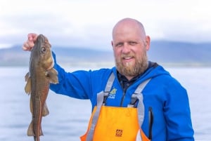 Pêche en mer islandaise depuis Reykjavik