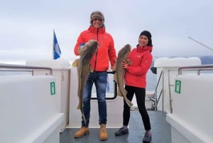 Pesca marítima en Islandia desde Reikiavik
