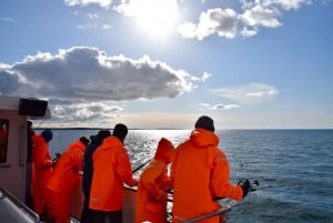 Pesca marítima en Islandia desde Reikiavik