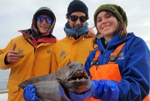 Islandsk havfiske fra Reykjavik