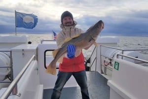 Reykjavík: pesca nel mare d'Islanda
