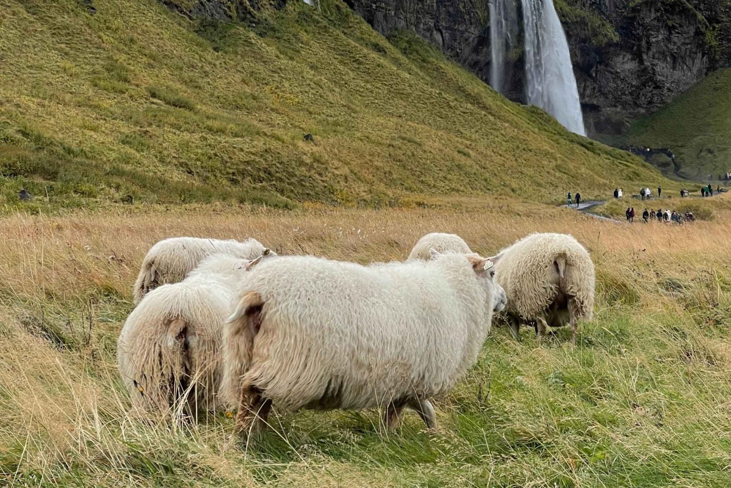 Islandia Tierrra de Hielo y Fuego