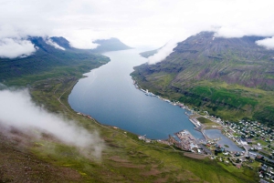 7-dagers tur for små grupper rundt Island