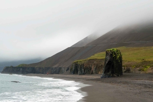 7-dagers tur for små grupper rundt Island