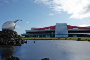 Keflavik Airport to Reykjavik Roundtrip & One-Way Transfer