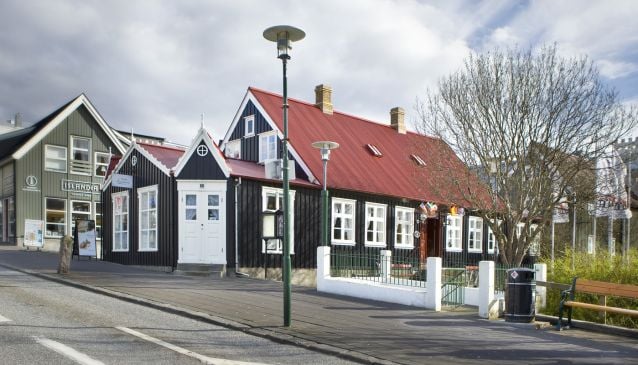 Top 5 Restaurants in Reykjavik