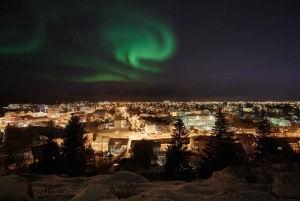 Magical Christmas Private Tour in Beautiful Reykjavik