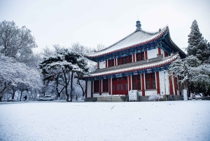 Magical Christmas Private Tour in Beautiful Reykjavik