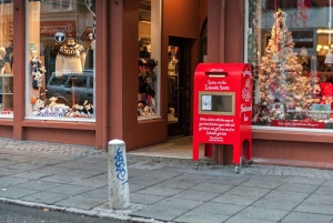 Magical Christmas Private Tour in Beautiful Reykjavik