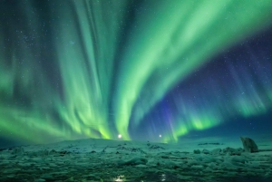 Premium NorthernLights Hunting With Photographer-Small Group