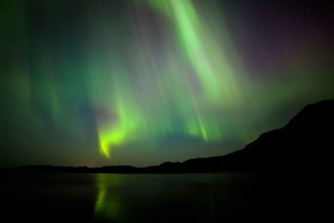 Premium NorthernLights Hunting With Photographer-Small Group