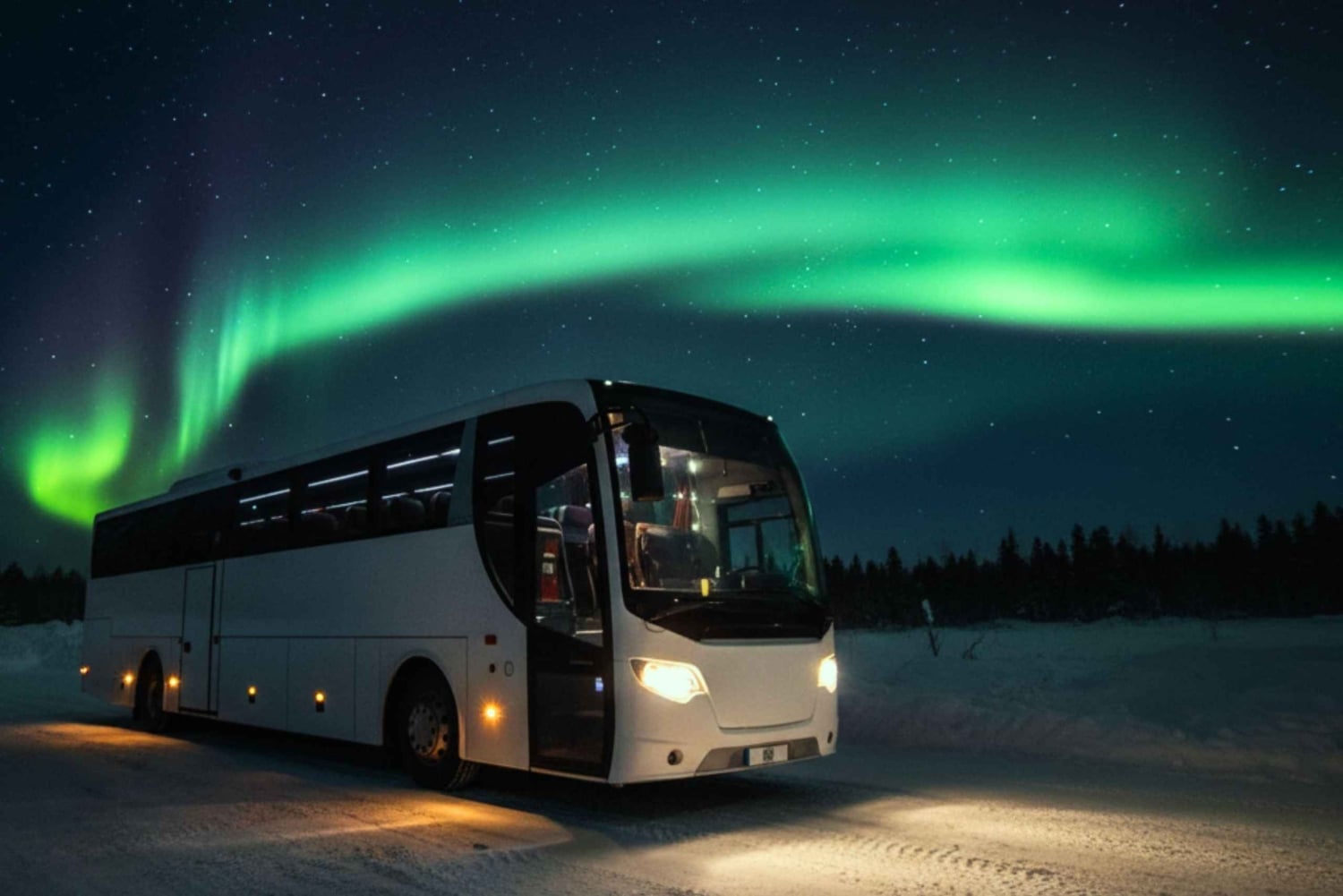 Nordlys: Hyggeligt nattelivseventyr med varm kakao