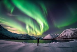 Northern lights hunt