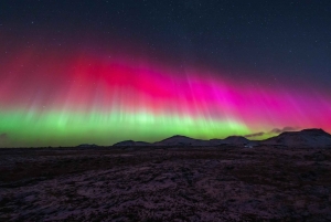 Northern Lights in Mini Bus, Photos, Hot Cocoa and Pastries