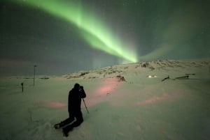 Northern Lights Luxury Bus Tour from Reykjavik