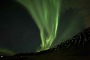 Northern Lights Luxury Bus Tour from Reykjavik