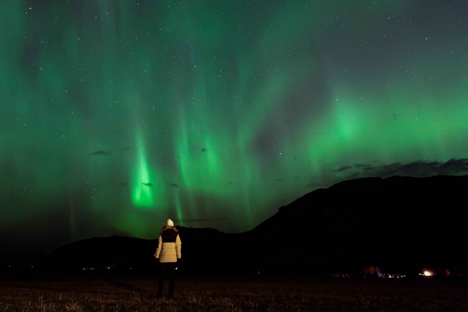 Nordlys i minibuss, bilder, varm kakao og bakverk