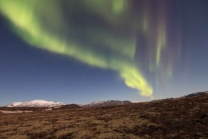 From Reykjavik: Northern Lights Tour with Hot Cocoa & Photos