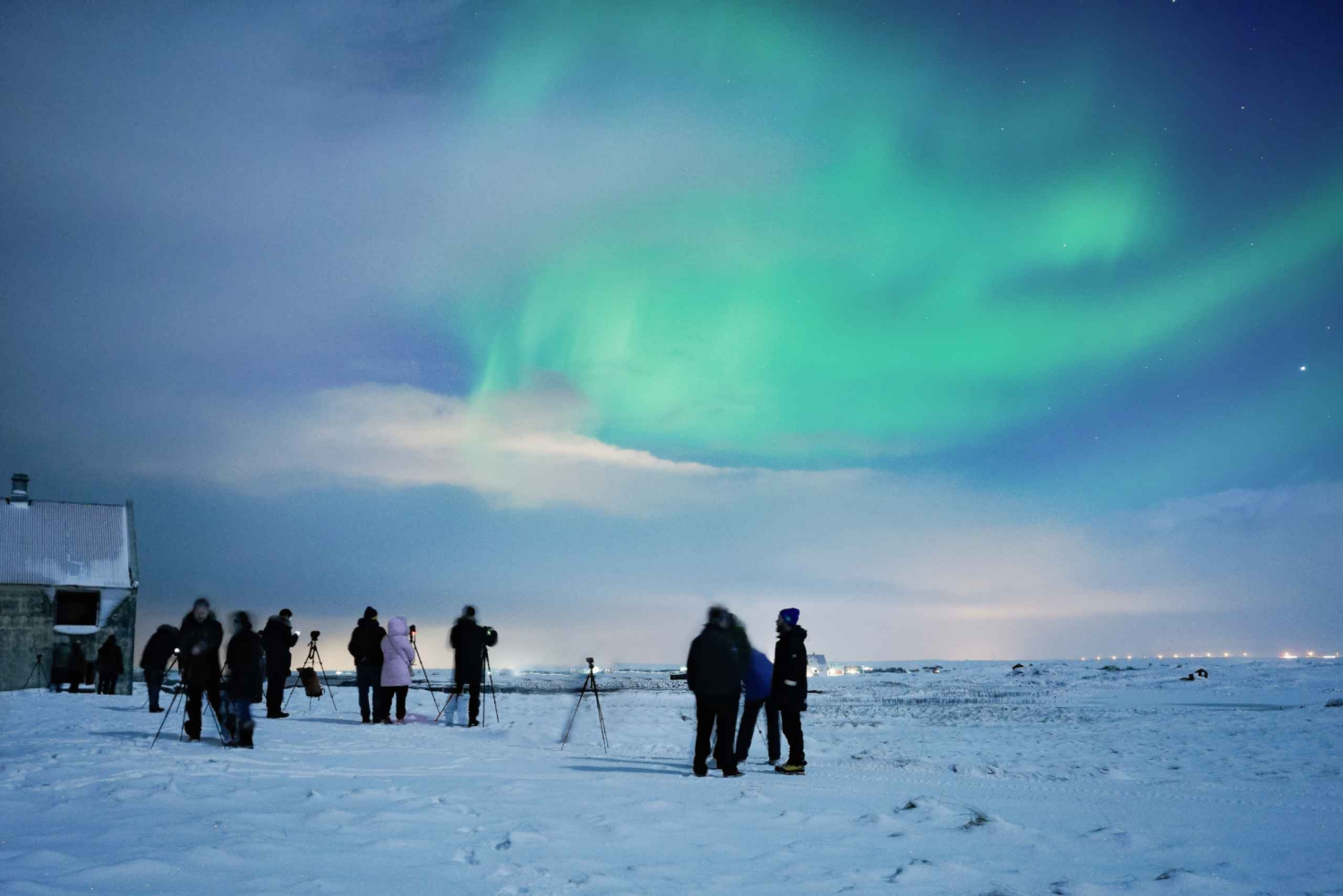 Reykjavik: Northern Lights Small Group Tour