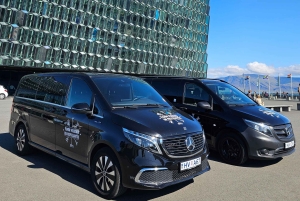 プライベート 3 時間空港/クルーズ送迎とツアー