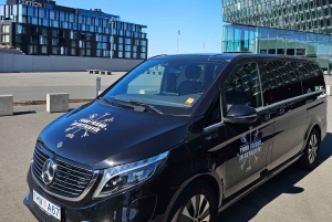 プライベート 3 時間空港/クルーズ送迎とツアー