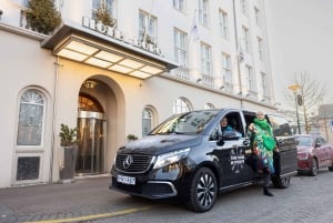 Traslado do aeroporto/cruzeiro guiado e tour particular de 4 horas