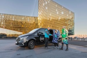 Traslado do aeroporto/cruzeiro guiado e tour particular de 4 horas