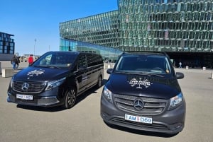 Traslado do aeroporto/cruzeiro guiado e tour particular de 4 horas