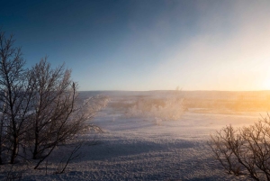 Visite privée de 6h : Le Cercle d'Or : l'essentiel