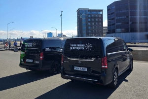 Traslado do aeroporto/cruzeiro guiado e tour particular de 7 horas