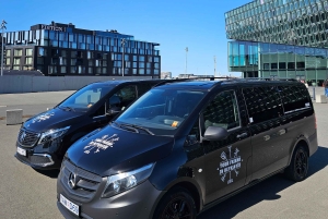 Traslado do aeroporto/cruzeiro guiado e tour particular de 7 horas