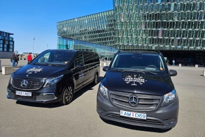 Traslado do aeroporto/cruzeiro guiado e tour particular de 7 horas