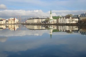 Privat, skreddersydd 3-timers byrundtur i Reykjavik