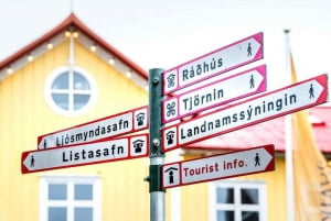 Tour privado a medida de 6 horas por la ciudad de Reikiavik