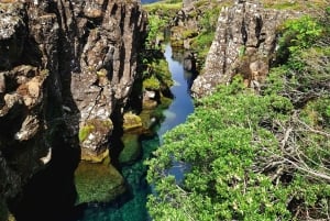 Частное комбо 2 в 1: Золотой круг и Северное сияние