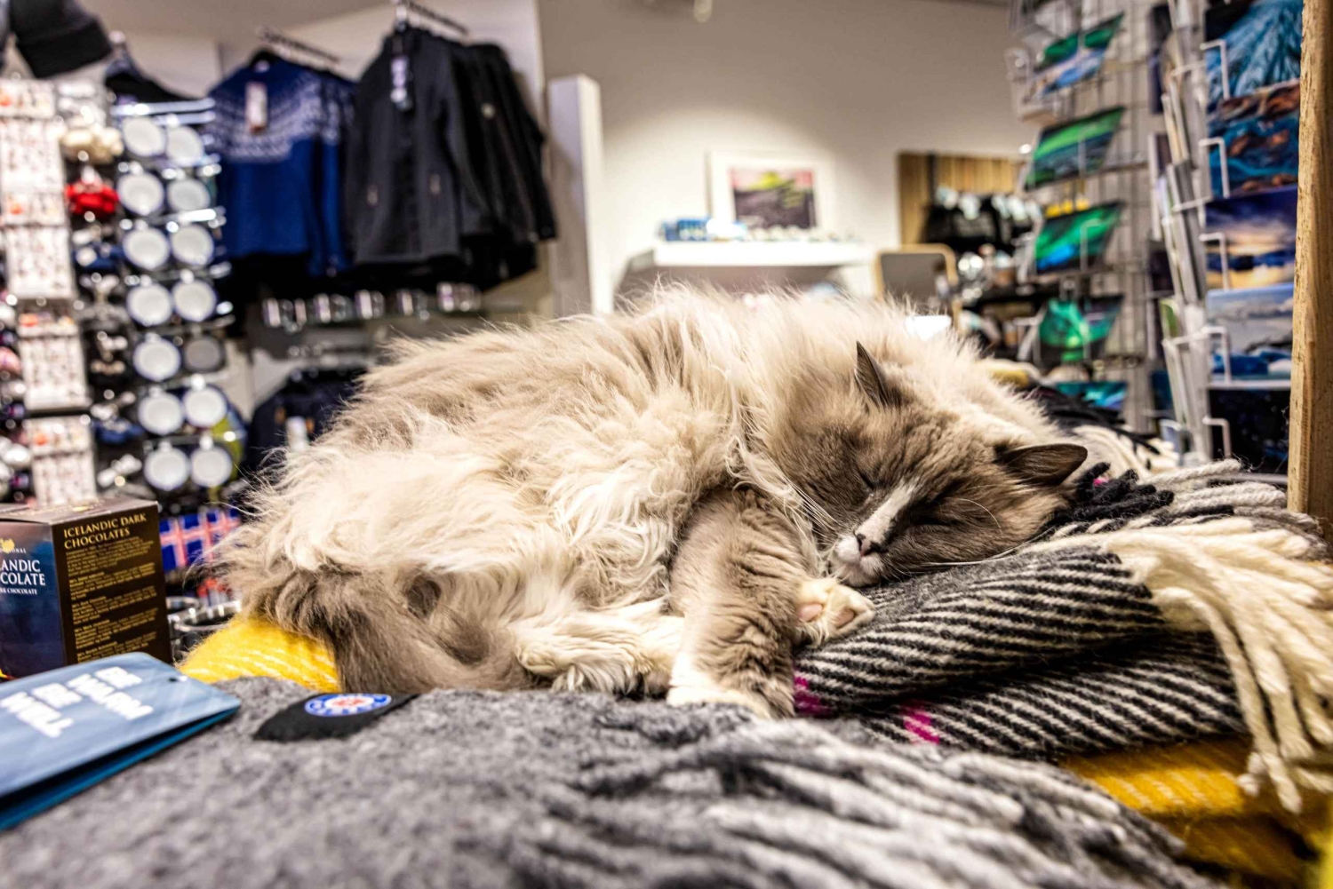 Combinaison privée Reykjavik Folklore & CatWalk