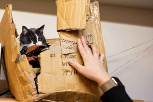 Combinaison privée Reykjavik Folklore & CatWalk