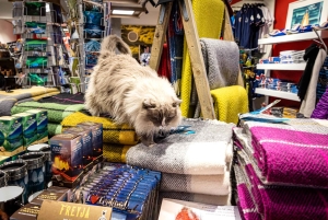 Combinaison privée Reykjavik Folklore & CatWalk