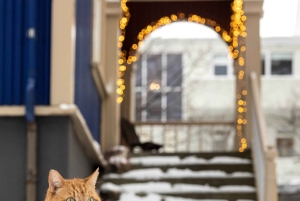 Combinaison privée Reykjavik Folklore & CatWalk