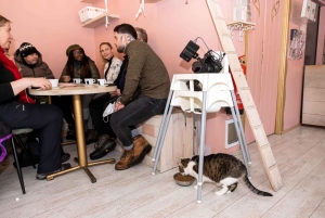 Combinaison privée Reykjavik Folklore & CatWalk